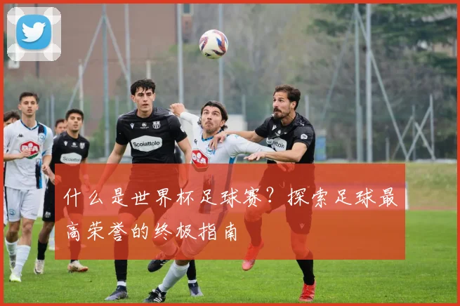什么是世界杯足球赛？探索足球最高荣誉的终极指南